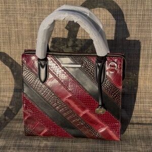 RARE 🔥 NWT Brahmin Small Caroline Tart Flashback Red Crossbody Bag Price firm